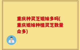 重庆种灵芝姐妹多吗(重庆姐妹种植灵芝数量众多)
