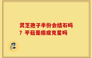 灵芝孢子半份会结石吗？平菇是癌症克星吗