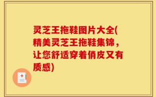 灵芝王拖鞋图片大全(精美灵芝王拖鞋集锦，让您舒适穿着俏皮又有质感)