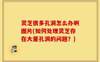 灵芝很多孔洞怎么办啊图片(如何处理灵芝存在大量孔洞的问题？)