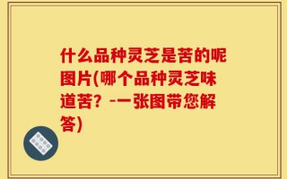 什么品种灵芝是苦的呢图片(哪个品种灵芝味道苦？-一张图带您解答)