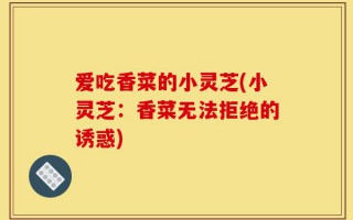 爱吃香菜的小灵芝(小灵芝：香菜无法拒绝的诱惑)