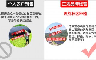灵芝孢子粉三萜标准是什么？灵芝三萜含量越高越好吗？