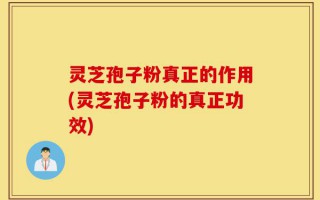 灵芝孢子粉真正的作用(灵芝孢子粉的真正功效)