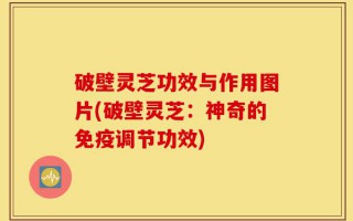 破壁灵芝功效与作用图片(破壁灵芝：神奇的免疫调节功效)