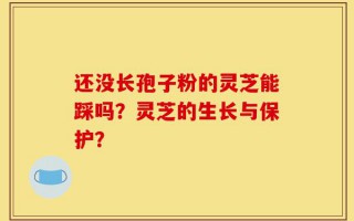 还没长孢子粉的灵芝能踩吗？灵芝的生长与保护？