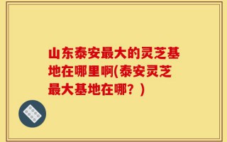 山东泰安最大的灵芝基地在哪里啊(泰安灵芝最大基地在哪？)