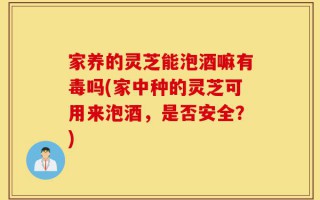家养的灵芝能泡酒嘛有毒吗(家中种的灵芝可用来泡酒，是否安全？)