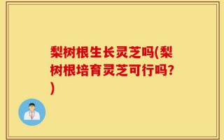 梨树根生长灵芝吗(梨树根培育灵芝可行吗？)