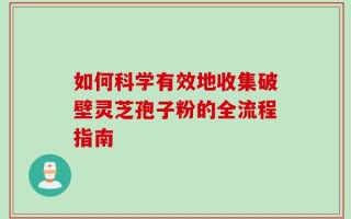 如何科学有效地收集破壁灵芝孢子粉的全流程指南