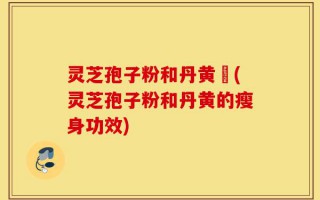 灵芝孢子粉和丹黄袪(灵芝孢子粉和丹黄的瘦身功效)