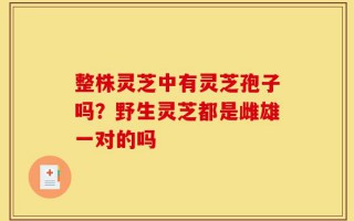 整株灵芝中有灵芝孢子吗？野生灵芝都是雌雄一对的吗