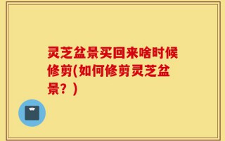 灵芝盆景买回来啥时候修剪(如何修剪灵芝盆景？)