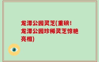 龙潭公园灵芝(重磅！龙潭公园珍稀灵芝惊艳亮相)