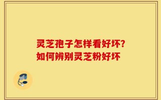 灵芝孢子怎样看好坏？如何辨别灵芝粉好坏
