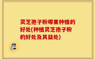 灵芝孢子粉哪里种植的好处(种植灵芝孢子粉的好处及其益处)