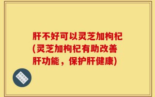 肝不好可以灵芝加枸杞(灵芝加枸杞有助改善肝功能，保护肝健康)