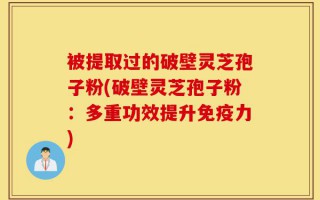 被提取过的破壁灵芝孢子粉(破壁灵芝孢子粉：多重功效提升免疫力)
