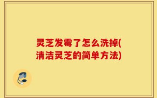 灵芝发霉了怎么洗掉(清洁灵芝的简单方法)