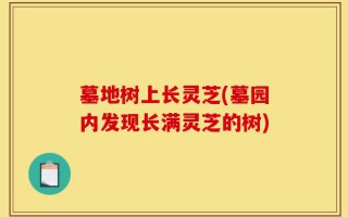 墓地树上长灵芝(墓园内发现长满灵芝的树)