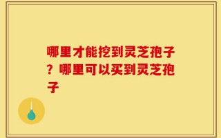 哪里才能挖到灵芝孢子？哪里可以买到灵芝孢子