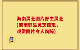 海南灵芝图片野生灵芝(海南野生灵芝惊现，观赏图片令人陶醉)