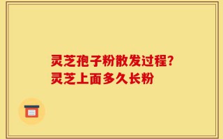 灵芝孢子粉散发过程？灵芝上面多久长粉