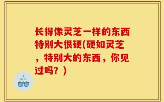 长得像灵芝一样的东西特别大很硬(硬如灵芝，特别大的东西，你见过吗？)