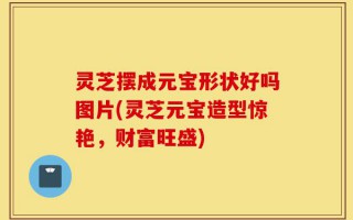 灵芝摆成元宝形状好吗图片(灵芝元宝造型惊艳，财富旺盛)