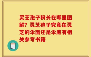 灵芝孢子粉长在哪里图解？灵芝孢子究竟在灵芝的伞面还是伞底有相关参考书籍