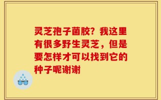 灵芝孢子菌胶？我这里有很多野生灵芝，但是要怎样才可以找到它的种子呢谢谢