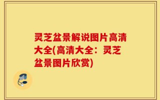 灵芝盆景解说图片高清大全(高清大全：灵芝盆景图片欣赏)