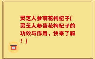 灵芝人参菊花枸杞子(灵芝人参菊花枸杞子的功效与作用，快来了解！)