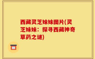西藏灵芝妹妹图片(灵芝妹妹：探寻西藏神奇草药之谜)