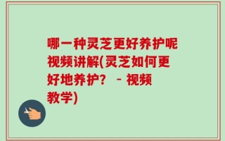 哪一种灵芝更好养护呢视频讲解(灵芝如何更好地养护？ - 视频教学)