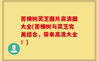 苦楝树灵芝图片高清图大全(苦楝树与灵芝完美结合，带来高清大全！)