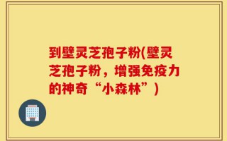 到壁灵芝孢子粉(壁灵芝孢子粉，增强免疫力的神奇“小森林”)