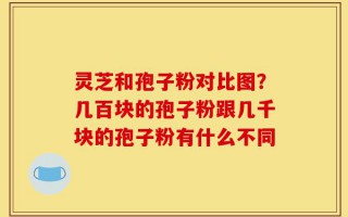 灵芝和孢子粉对比图？几百块的孢子粉跟几千块的孢子粉有什么不同