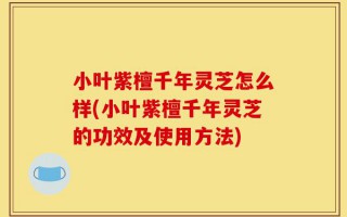小叶紫檀千年灵芝怎么样(小叶紫檀千年灵芝的功效及使用方法)