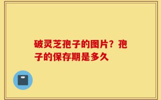 破灵芝孢子的图片？孢子的保存期是多久