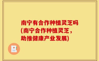 南宁有合作种植灵芝吗(南宁合作种植灵芝，助推健康产业发展)