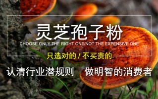 灵芝孢子粉正宗 与否选择标准