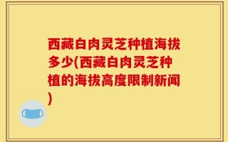 西藏白肉灵芝种植海拔多少(西藏白肉灵芝种植的海拔高度限制新闻)