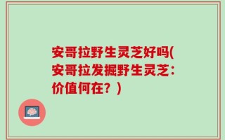 安哥拉野生灵芝好吗(安哥拉发掘野生灵芝：价值何在？)
