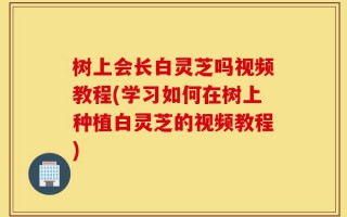 树上会长白灵芝吗视频教程(学习如何在树上种植白灵芝的视频教程)