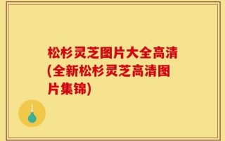 松杉灵芝图片大全高清(全新松杉灵芝高清图片集锦)