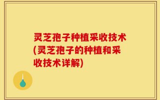灵芝孢子种植采收技术(灵芝孢子的种植和采收技术详解)