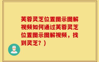 芙蓉灵芝位置图示图解视频如何通过芙蓉灵芝位置图示图解视频，找到灵芝？)