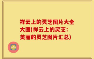 祥云上的灵芝图片大全大图(祥云上的灵芝：美丽的灵芝图片汇总)