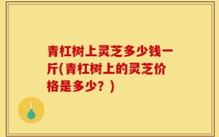 青杠树上灵芝多少钱一斤(青杠树上的灵芝价格是多少？)